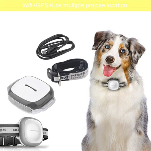 GPS Pet Tracker – Real-Time Location for Dogs & Cats
