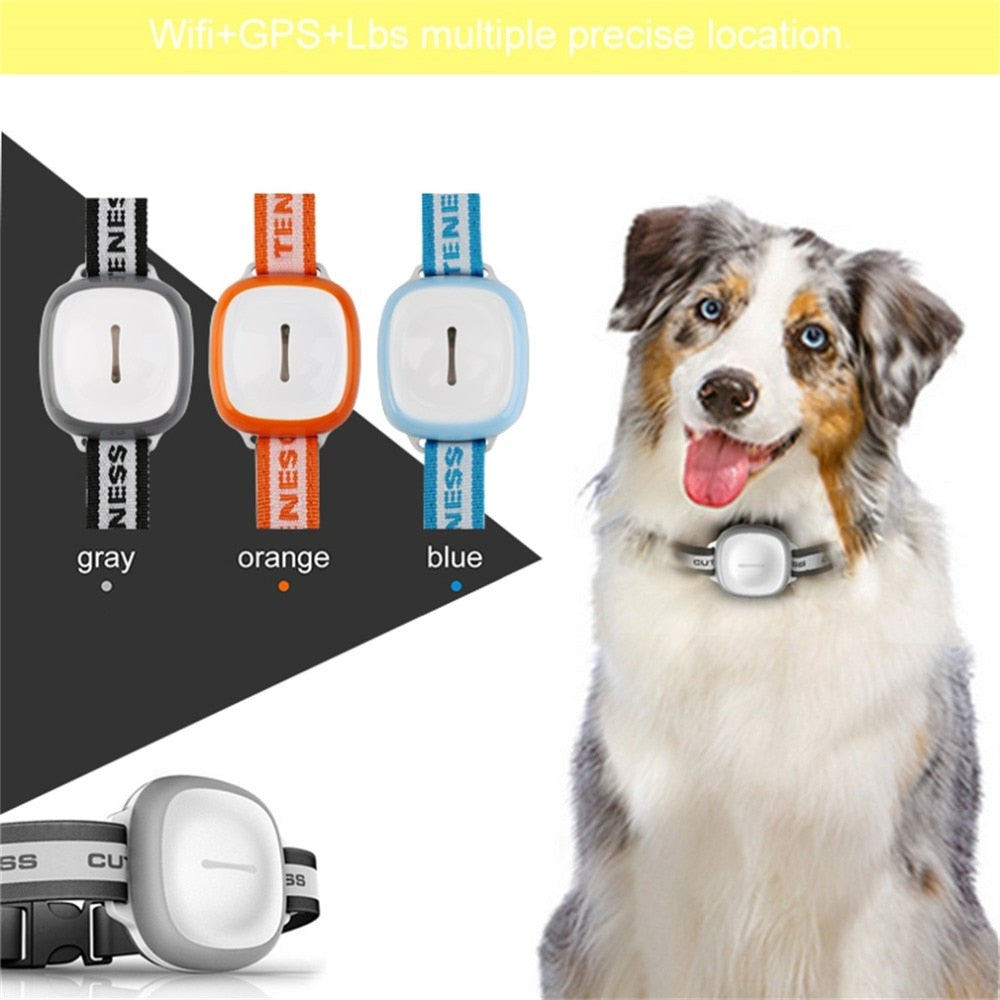 GPS Pet Tracker – Real-Time Location for Dogs & Cats