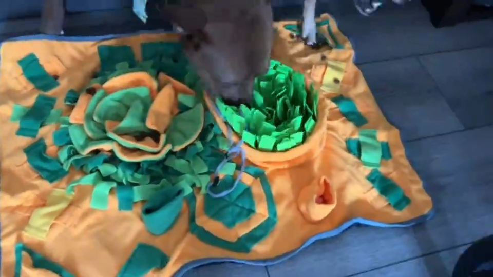 Dog Snuffle Mat – Slow Feeder & Mental Enrichment Toy