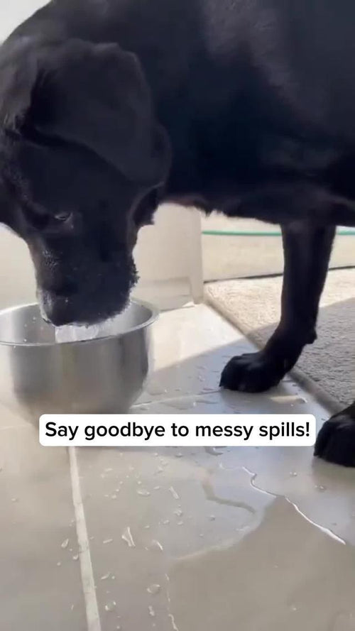 Cat & Dog Water Fountain – Auto-Circulating Fresh Water Dispenser